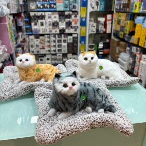 Talking Plush Cat show piece Meow Sound Cat